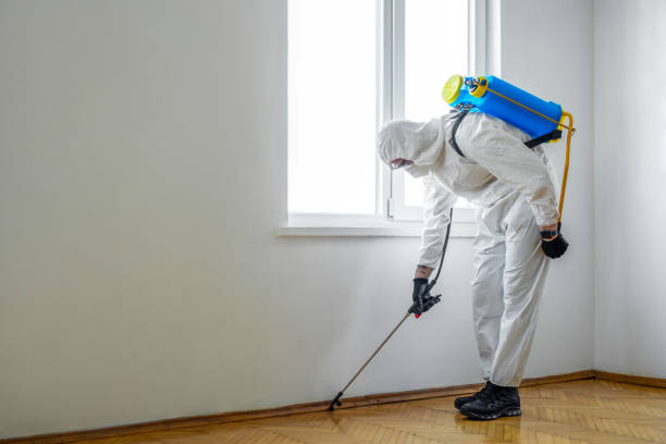 Best Termite Control Services  in North Bend, OH