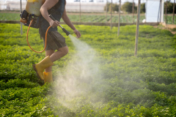 Pest Prevention Services in North Bend, OH