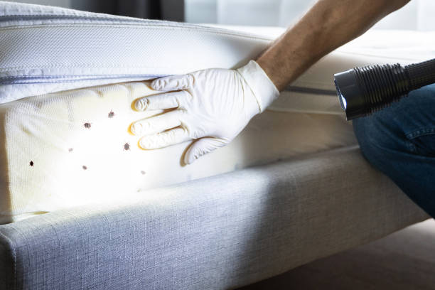 Best Emergency Pest Control  in North Bend, OH