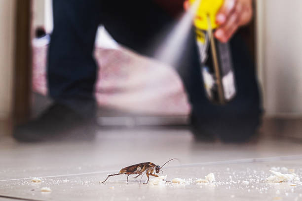 Best Pest Control for Businesses  in North Bend, OH